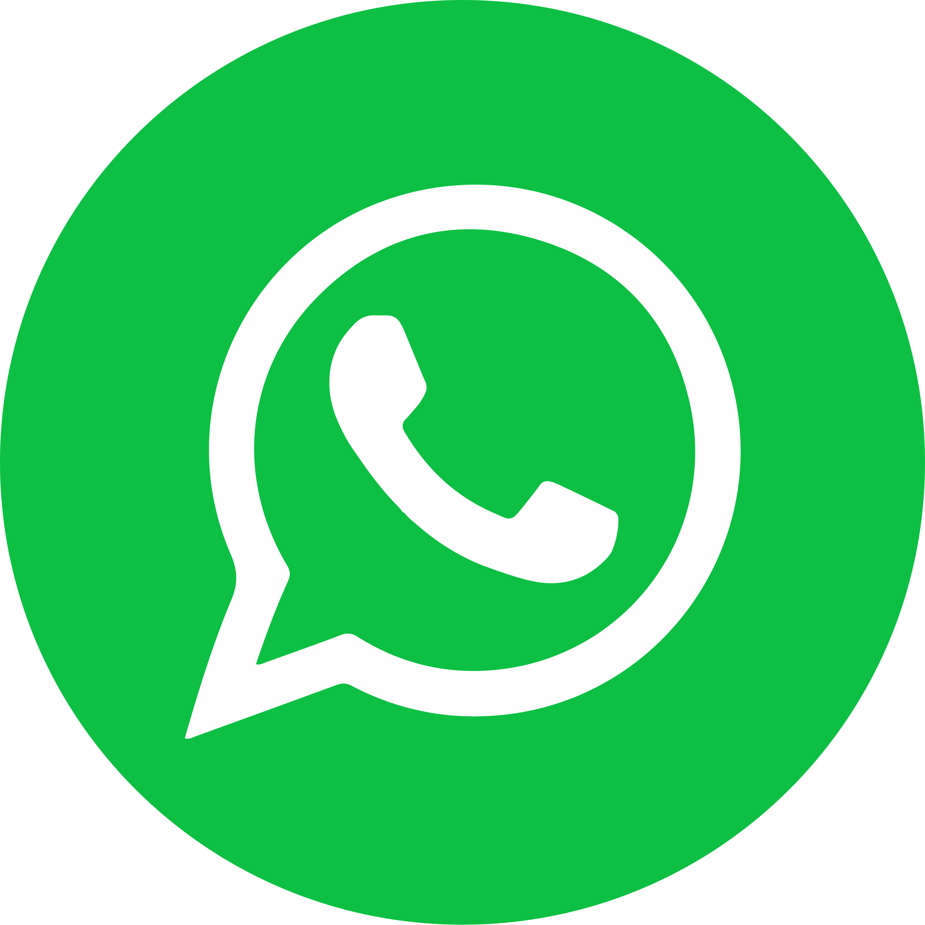 Falar no WhatsApp